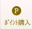 PT購入